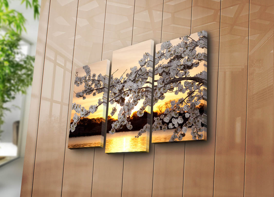 Conjunto de 3 Telas Decorativas em Suede (Canvas) – Multicolor, Moldura de Madeira 3 cm, Tamanho Total 45 x 66 cm – 3PATK-5