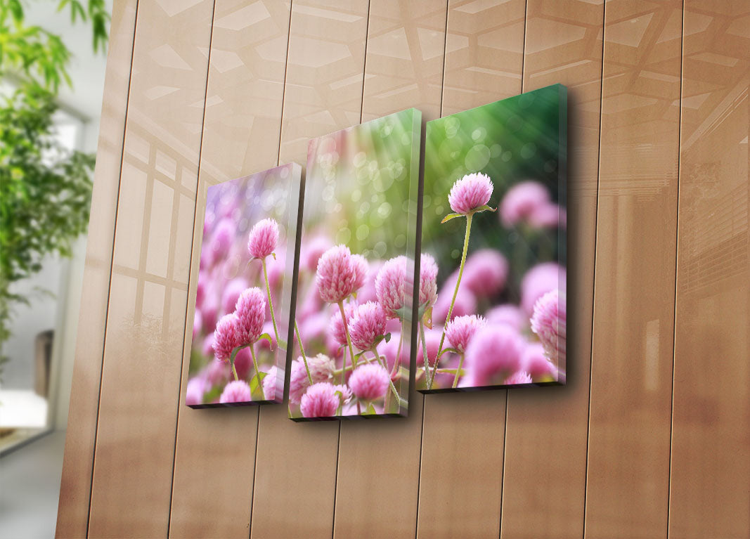 Conjunto de Quadros em Tela (3 Peças) Multicolor — Suede 100% com Moldura de Madeira, Tamanho Total 45 x 66 cm