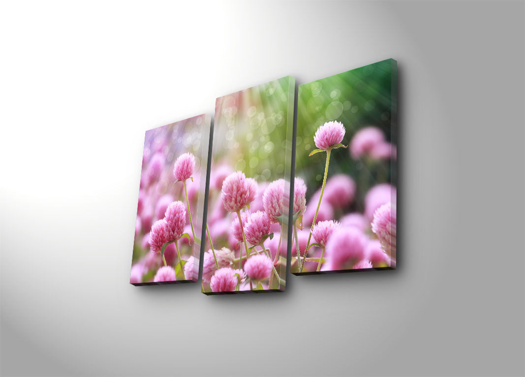 Conjunto de Quadros em Tela (3 Peças) Multicolor — Suede 100% com Moldura de Madeira, Tamanho Total 45 x 66 cm