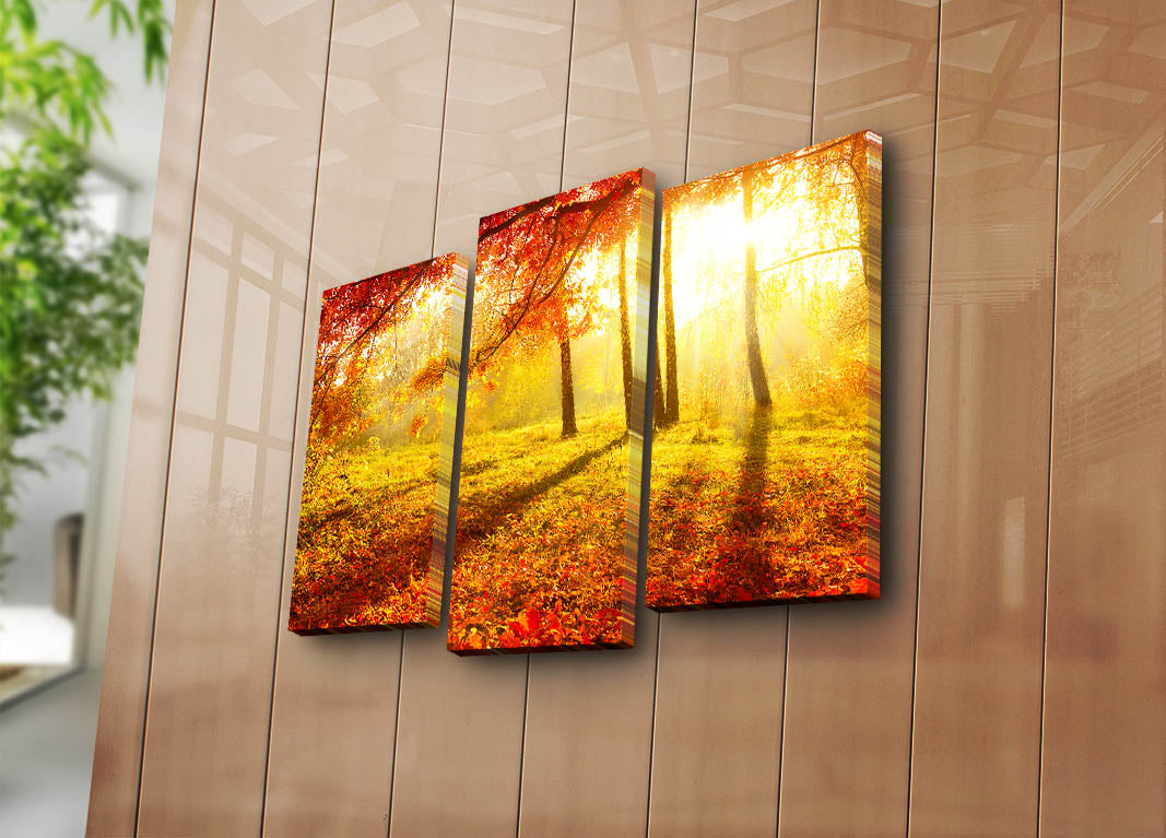 Quadros Decorativos em Tela (3 Peças) Multicor – 100% Suede, Moldura de Madeira 3 cm – 45 x 66 cm