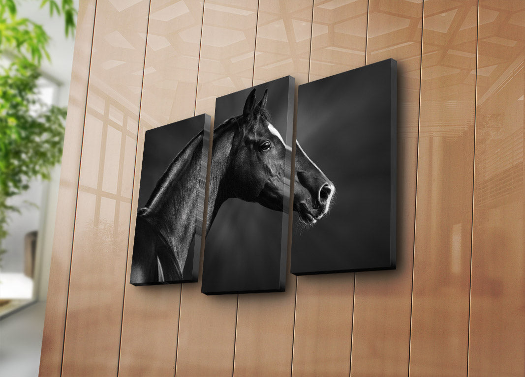 Conjunto de Quadros Decorativos em Tela Suede (3 Peças) Multicolor com Moldura de Madeira – 45 x 66 cm