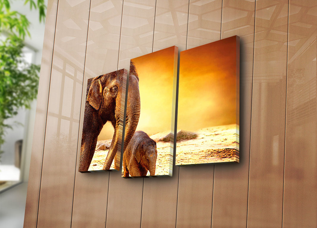 Conjunto de 3 Telas Decorativas Multicolor em Suede 100% com Moldura de Madeira – 45 x 66 cm