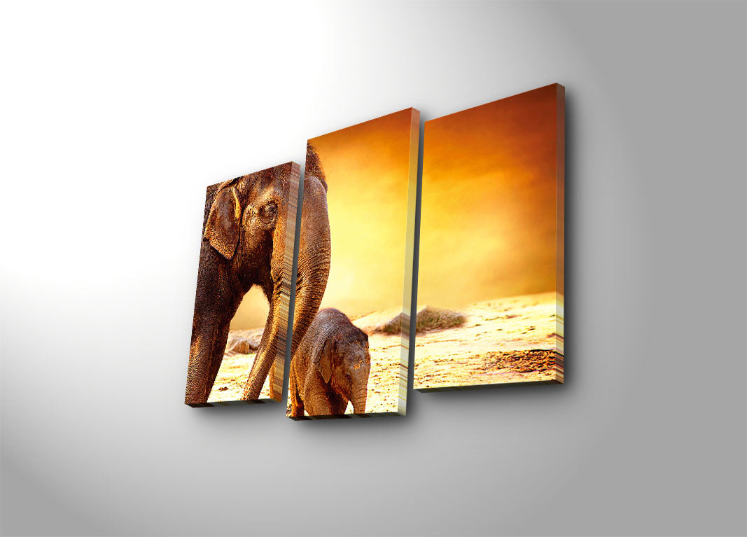 Conjunto de 3 Telas Decorativas Multicolor em Suede 100% com Moldura de Madeira – 45 x 66 cm