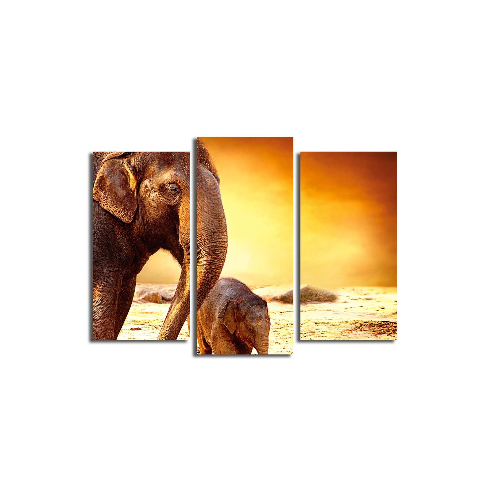 Conjunto de 3 Telas Decorativas Multicolor em Suede 100% com Moldura de Madeira – 45 x 66 cm