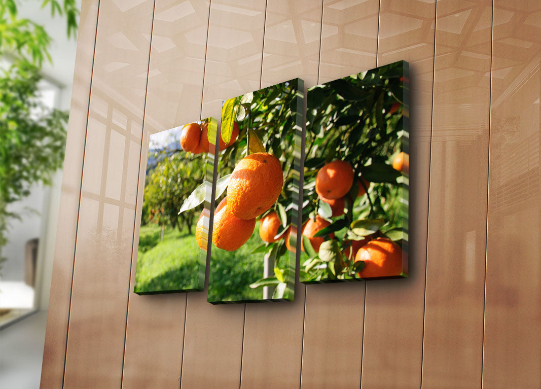 Tríptico de Telas Decorativas Multicor 3PATK-28 — Camurça 100% e Moldura de Madeira 3 cm (20x39 + 20x45 | Total 45x66 cm)