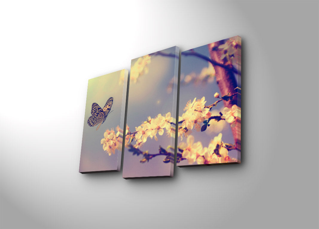 Quadro Decorativo em Tela Multicolor (3 Peças) — 3PATK-32 | Suede 100%, Moldura de Madeira 3 cm, Total 45 x 66 cm