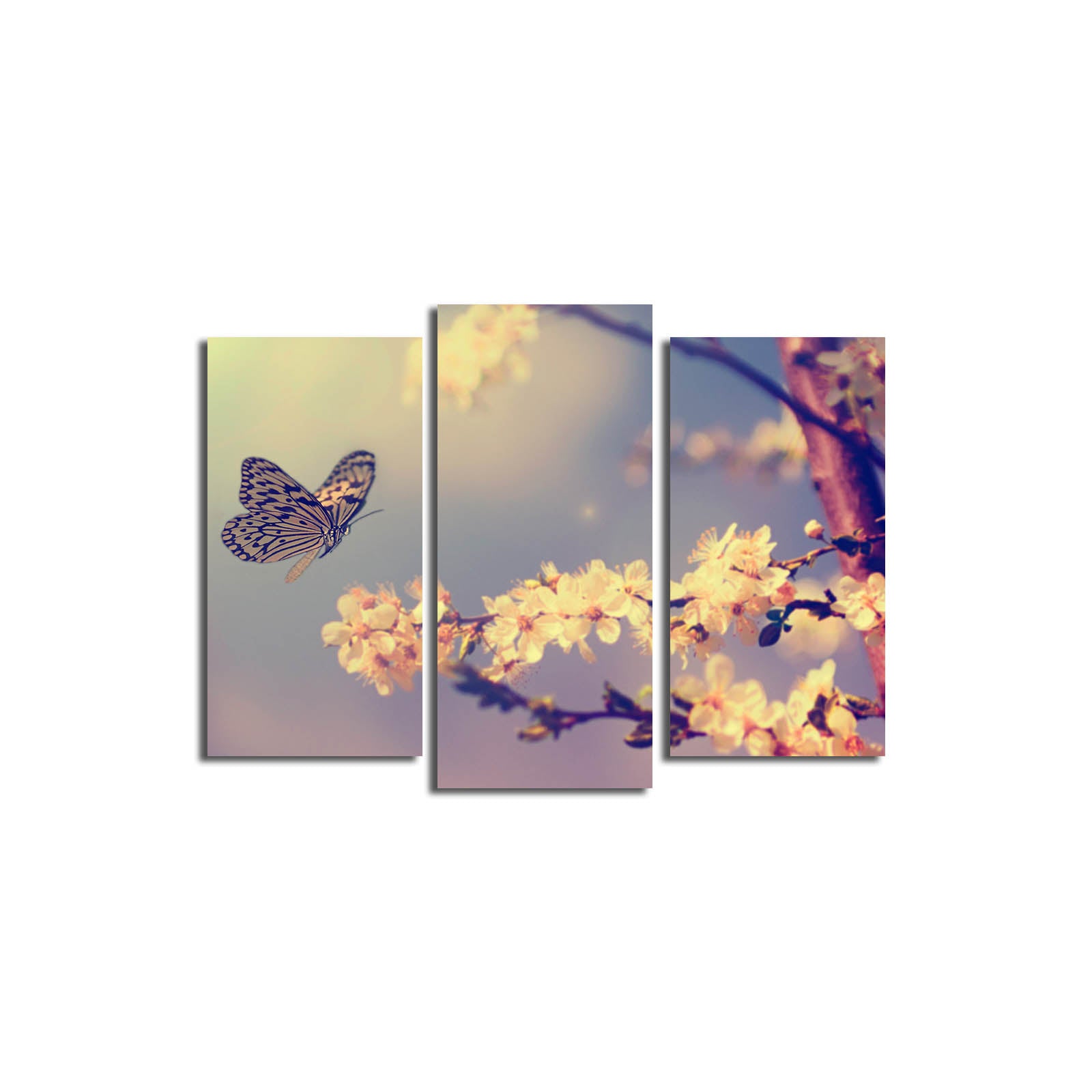 Quadro Decorativo em Tela Multicolor (3 Peças) — 3PATK-32 | Suede 100%, Moldura de Madeira 3 cm, Total 45 x 66 cm