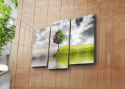 Quadro Decorativo Tríptico 3PATK-48 Multicolor – 3 Peças em Tela de Camurça 100% com Moldura de Madeira, 45 x 66 cm