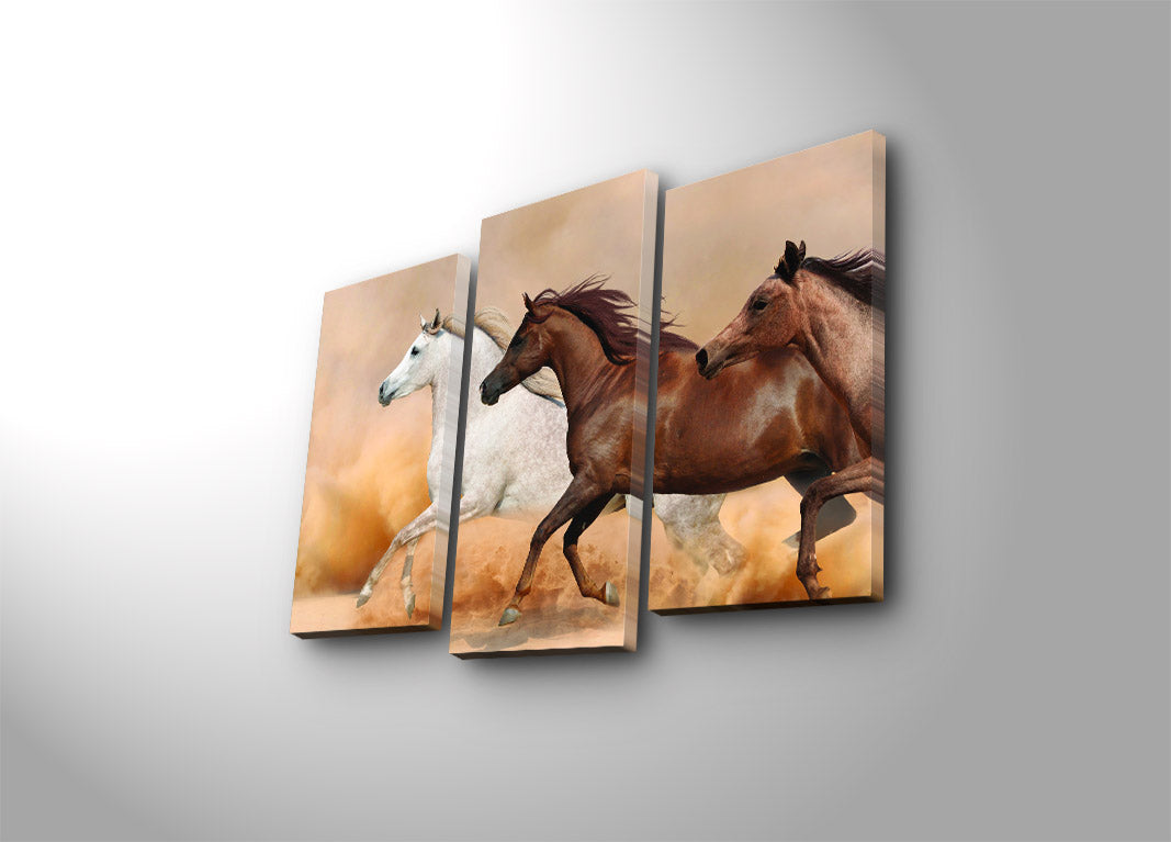 3PATK-49 Quadro Decorativo Multicolor (Conjunto de 3 Peças) – Canvas Camurça 100%, Moldura de Madeira 3 cm, Tamanho Total 45 x 66 cm