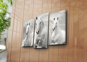 Quadro Decorativo em Tela Suede Multicolor (3 Peças) 3PATK-66 – Moldura de Madeira, 45x66 cm