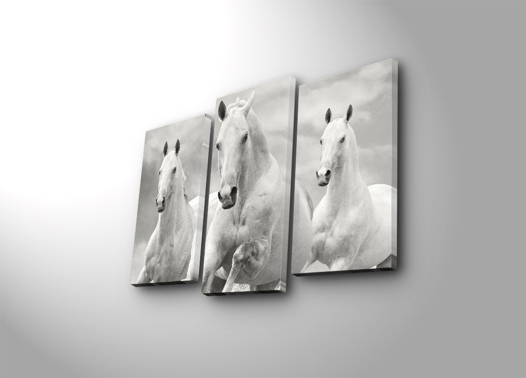 Quadro Decorativo em Tela Suede Multicolor (3 Peças) 3PATK-66 – Moldura de Madeira, 45x66 cm