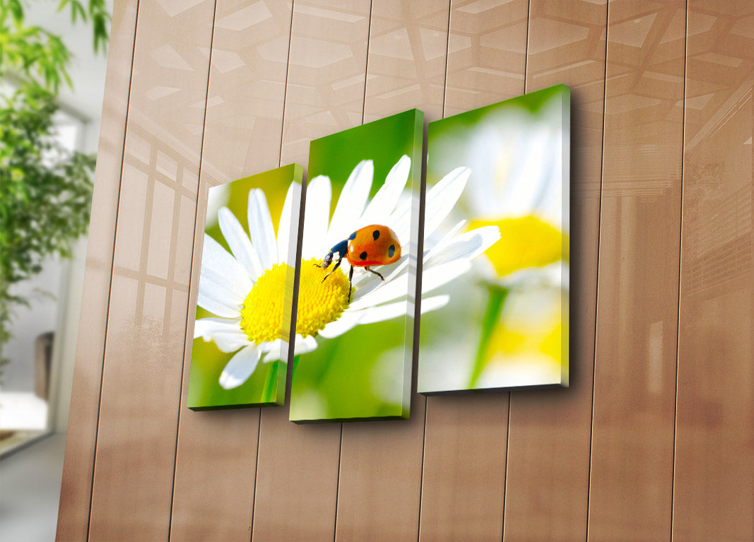 Quadro Decorativo Tríptico Multicolor em Tela Suede – 3 Peças com Moldura de Madeira, 45 x 66 cm