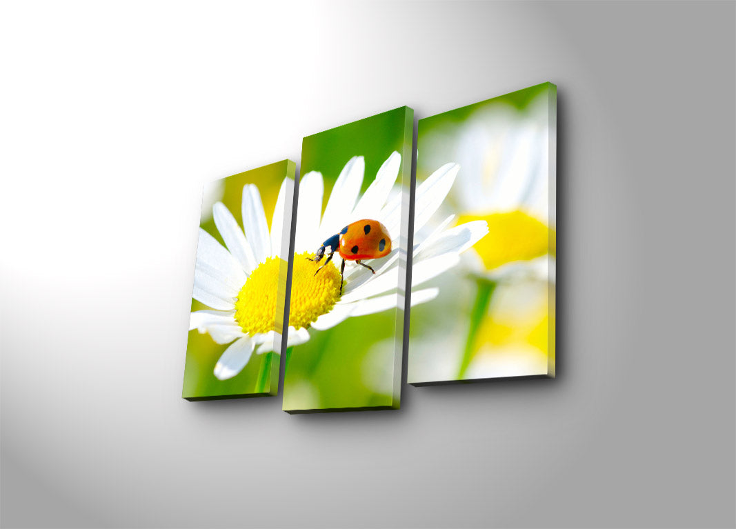 Quadro Decorativo Tríptico Multicolor em Tela Suede – 3 Peças com Moldura de Madeira, 45 x 66 cm