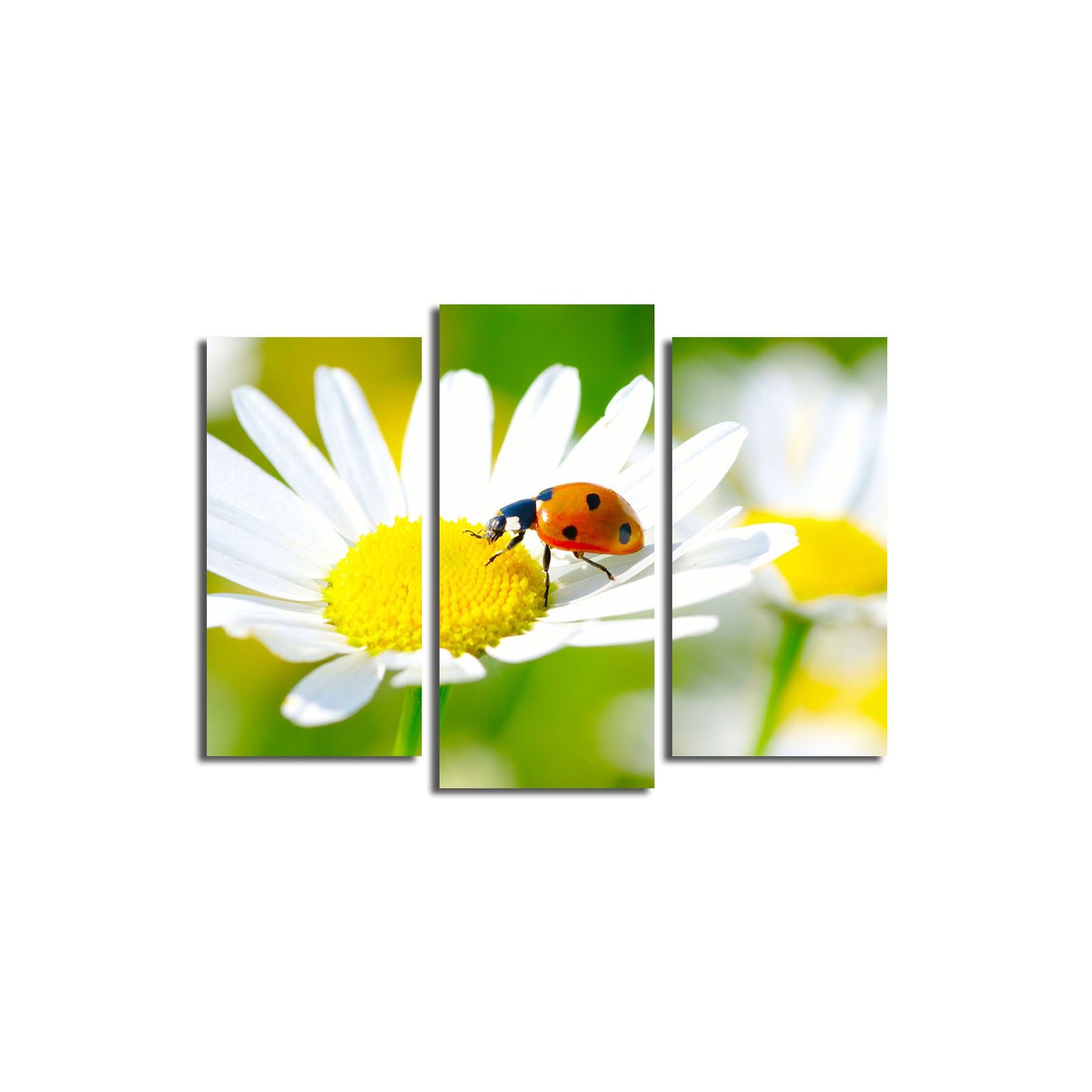 Quadro Decorativo Tríptico Multicolor em Tela Suede – 3 Peças com Moldura de Madeira, 45 x 66 cm