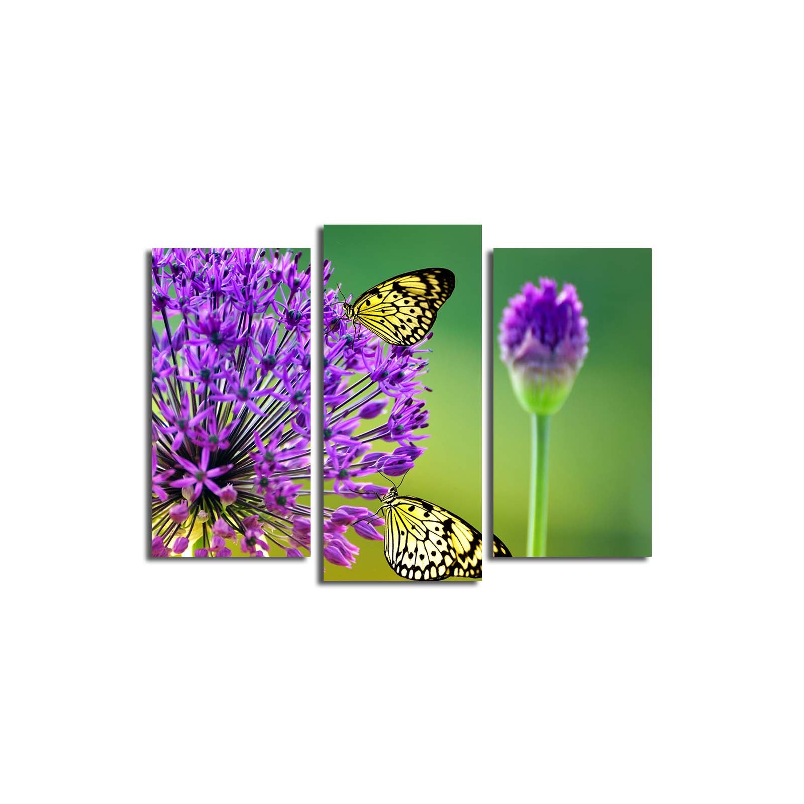 Tríptico Multicolor em Suede com Moldura de Madeira (3 Peças)