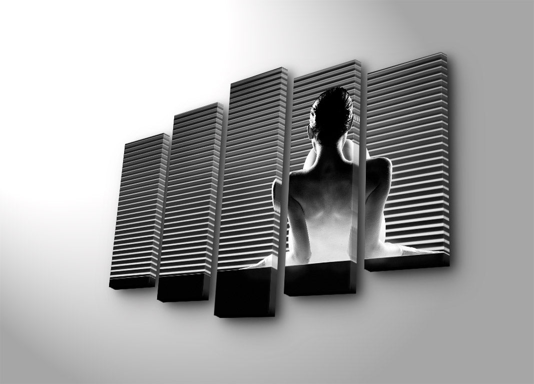 Quadro Decorativo em Tela (5 Peças) Multicolor 70x105 cm — Suede Canvas, Moldura 100% Madeira (5PATK-42)