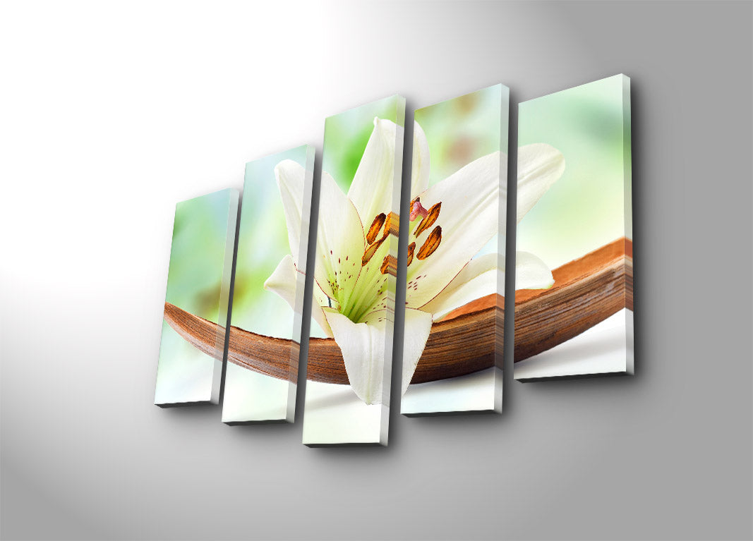 Quadro Decorativo em Tela (5 Peças) Multicolor — Camurça 100% com Moldura de Madeira, 70 x 105 cm