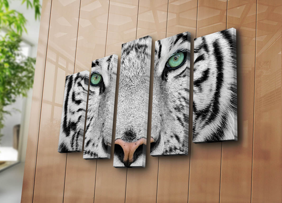 Quadro Decorativo em Tela 5 Peças Multicolor 70 x 105 cm — 5PATK-68 | Tela Suede 100% e Moldura de Madeira 3 cm