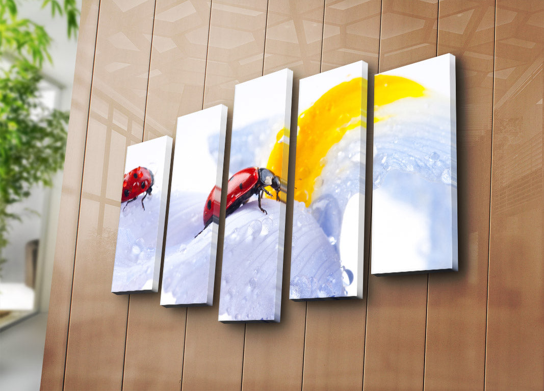 Conjunto de Quadros em Tela Suede 100% (5 Peças) Multicolor 70x105 cm – Moldura de Madeira