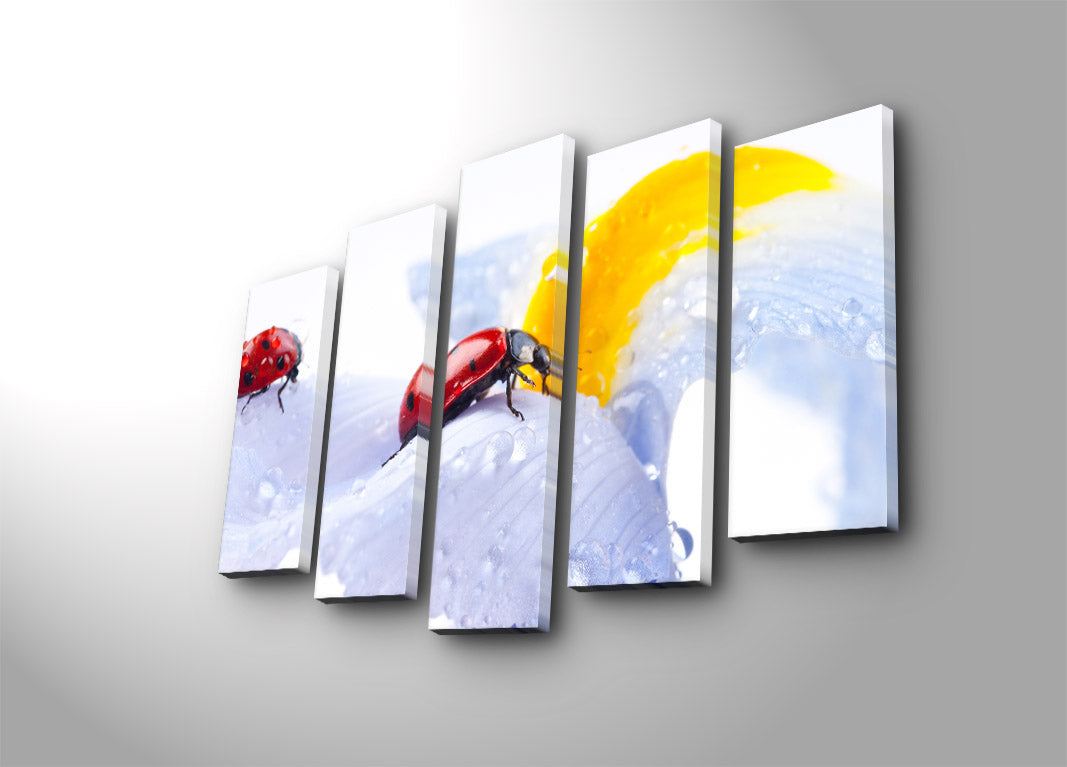 Conjunto de Quadros em Tela Suede 100% (5 Peças) Multicolor 70x105 cm – Moldura de Madeira