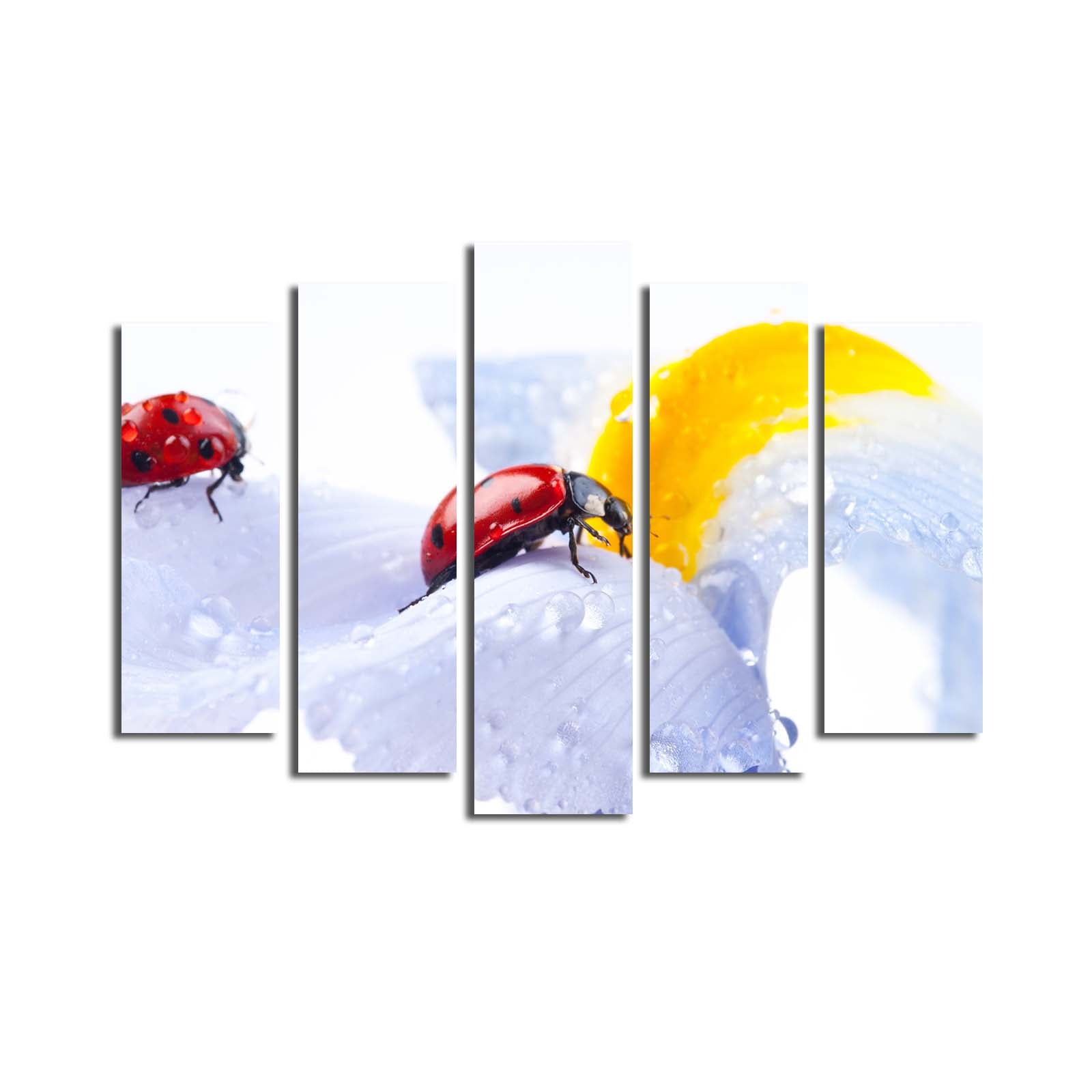 Conjunto de Quadros em Tela Suede 100% (5 Peças) Multicolor 70x105 cm – Moldura de Madeira