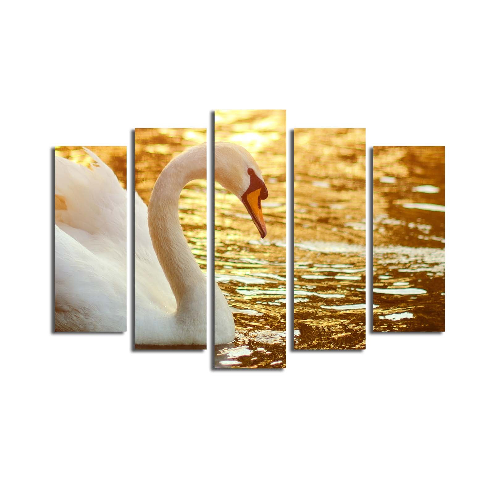 Conjunto de Quadros em Tela Decorativa (5 Peças), Multicolor, Suede 100%, Moldura de Madeira, 70 x 105 cm