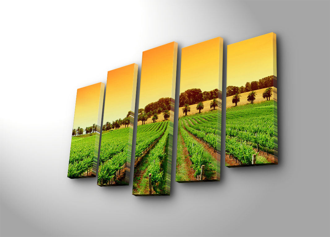 Quadro Decorativo 5 Peças Multicolor em Tela de Camurça 100% com Moldura de Madeira (70 x 105 cm)