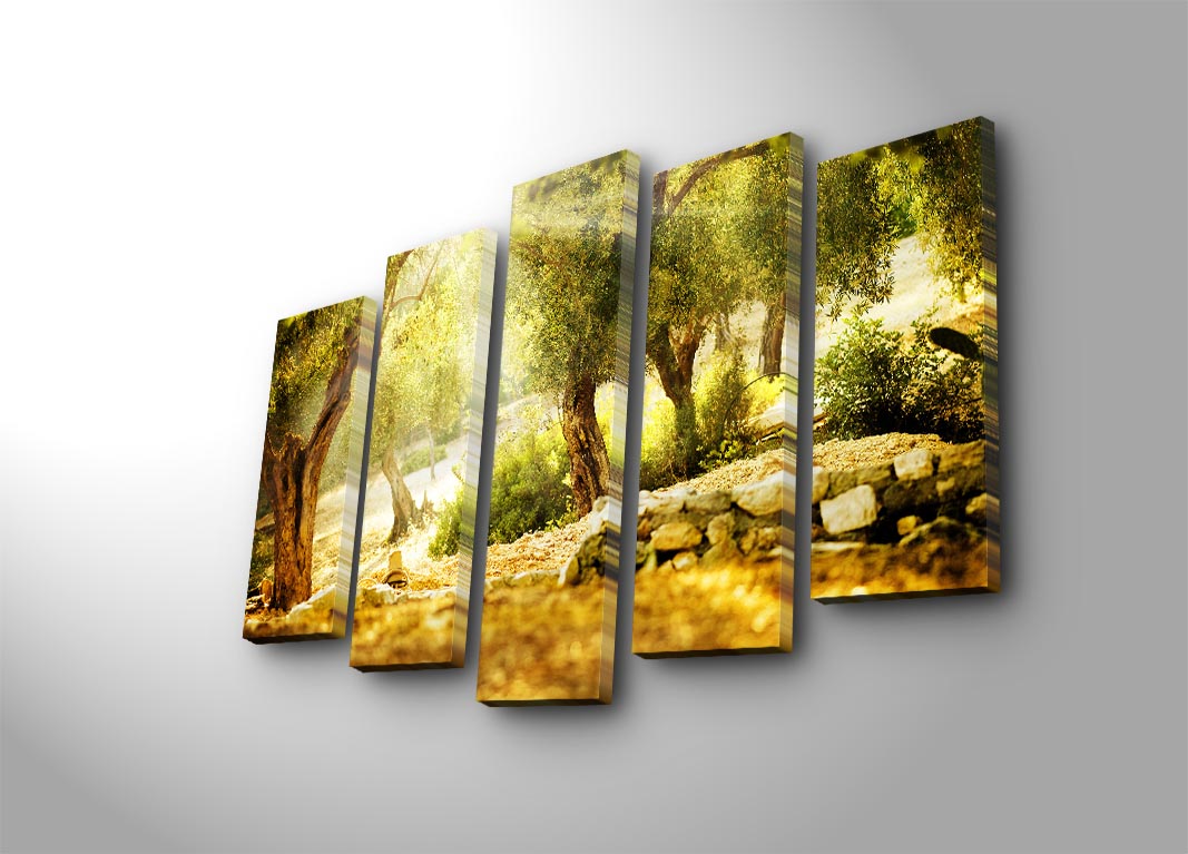 Quadro Decorativo em Tela Suede 100% (Conjunto 5 Peças) Multicolor – 70 x 105 cm com Moldura de Madeira 3 cm | 5PATK-140