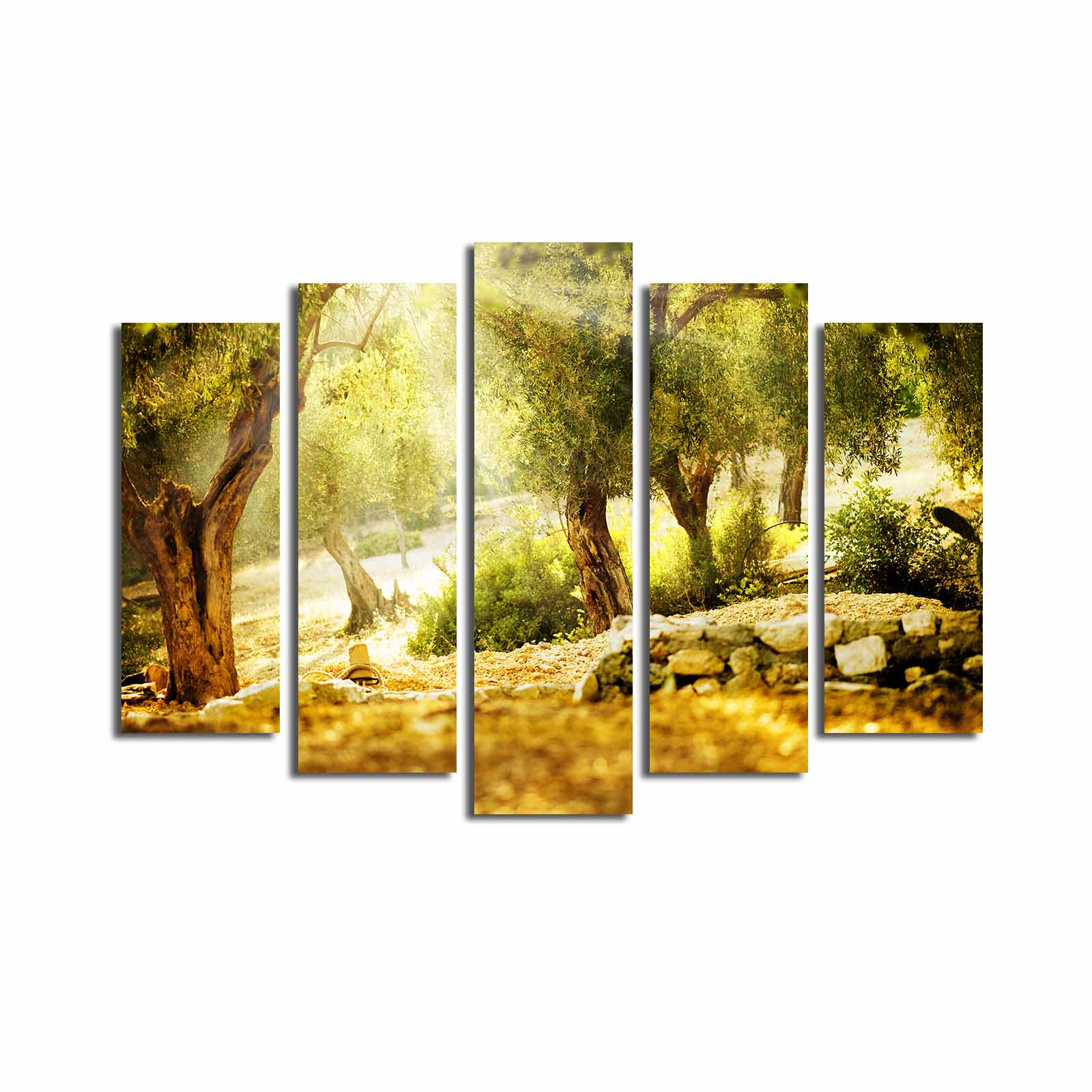 Quadro Decorativo em Tela Suede 100% (Conjunto 5 Peças) Multicolor – 70 x 105 cm com Moldura de Madeira 3 cm | 5PATK-140