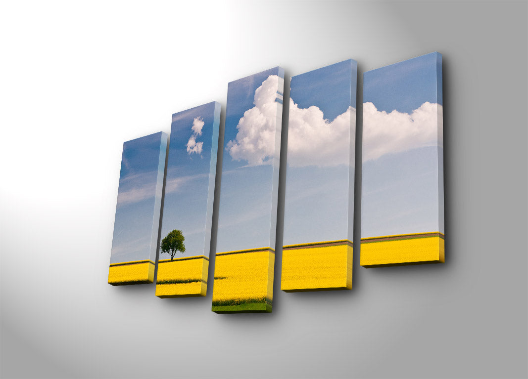 Quadro Decorativo em Tela Suede 5 Peças, Multicolor, Moldura de Madeira, 70x105 cm – 5PATK-160