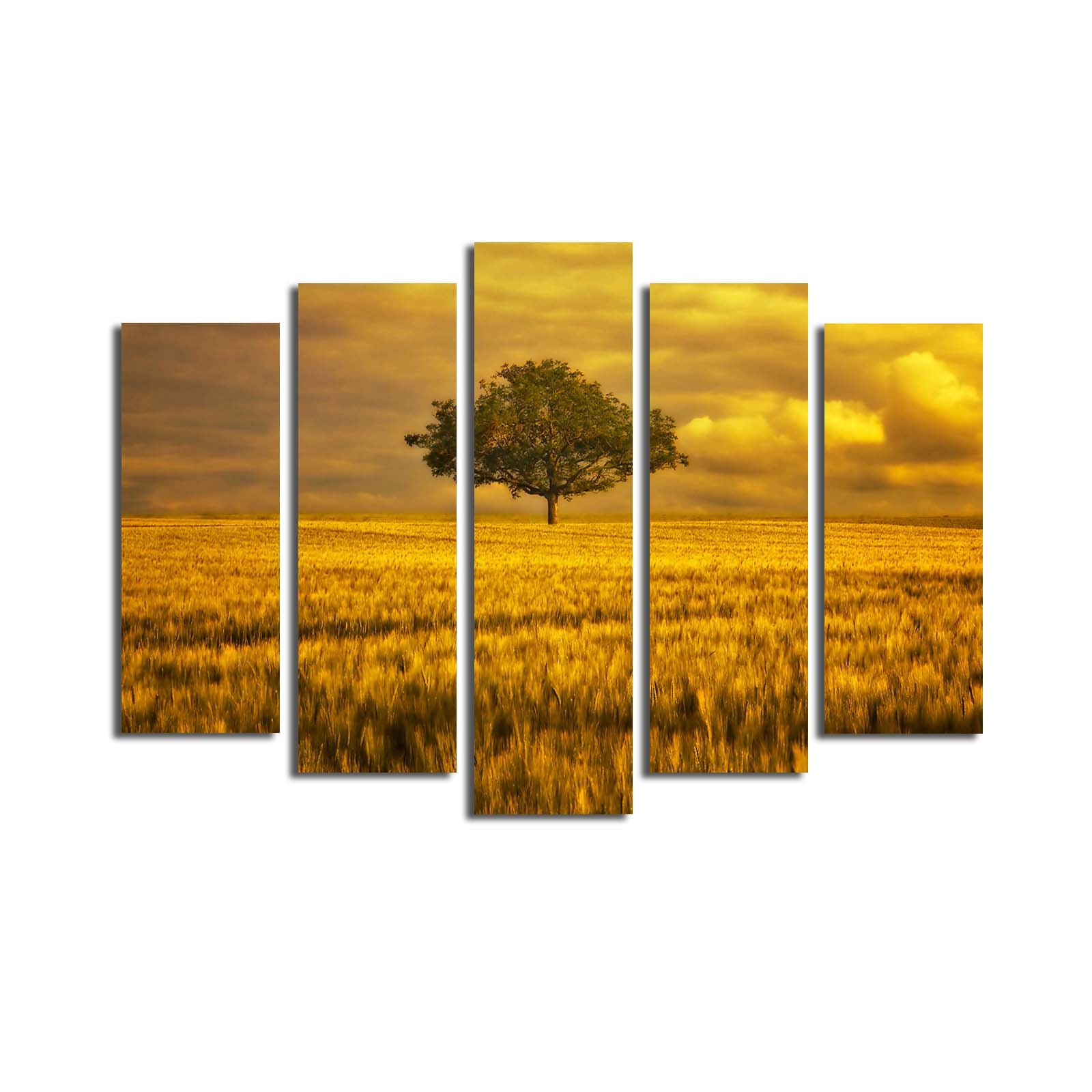 Quadro Decorativo em Tela Suede 100% (5 Peças) Multicolor 70x105 cm com Moldura de Madeira – 5PATK-168