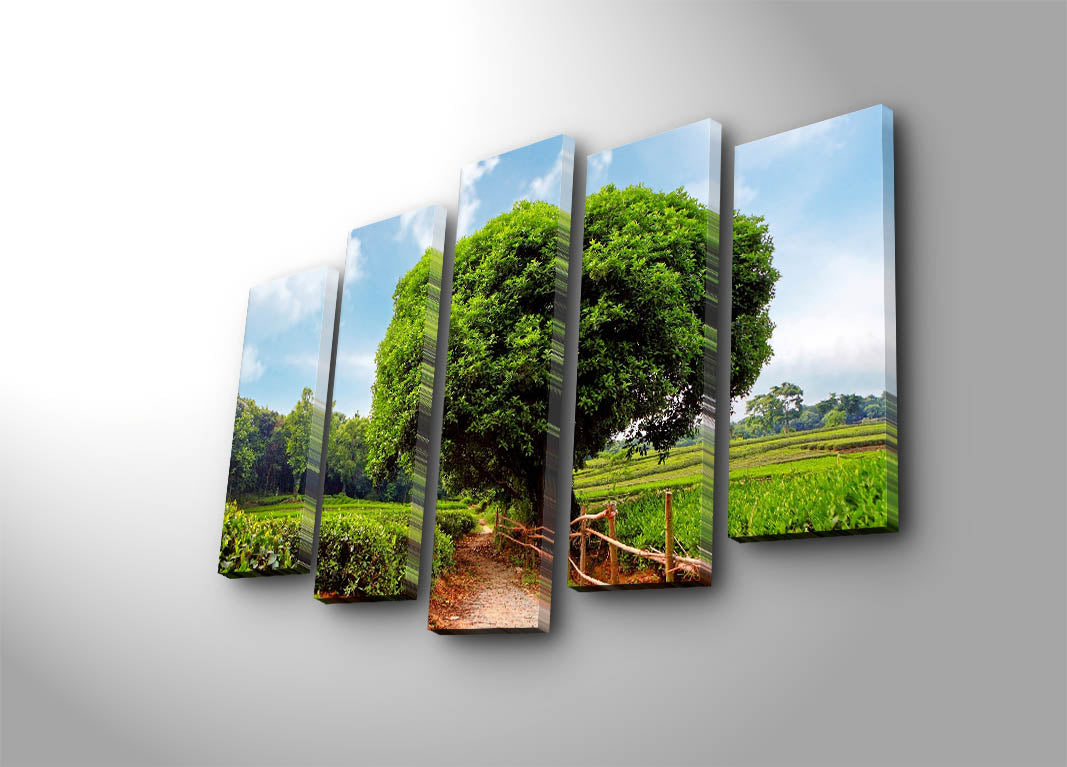 Quadro em Tela Multicolor (5 Peças) 70x105 cm – Moldura de Madeira 3 cm