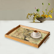 Bandeja - Multicolorido