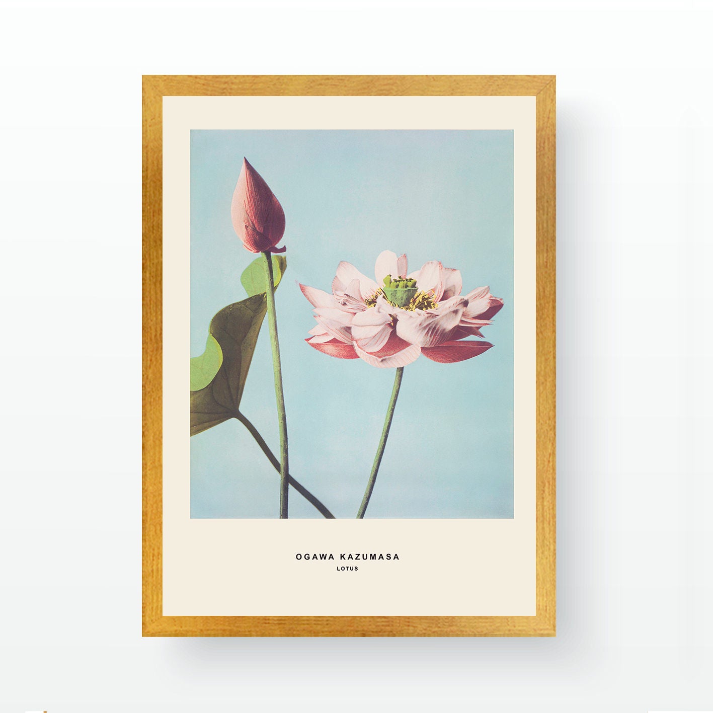 Pintura Decorativa Emoldurada Multicolor - Impressão Digital UV 35x45cm