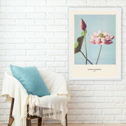 Quadro Decorativo Emoldurado Multicolor 35x45cm - Impressão UV