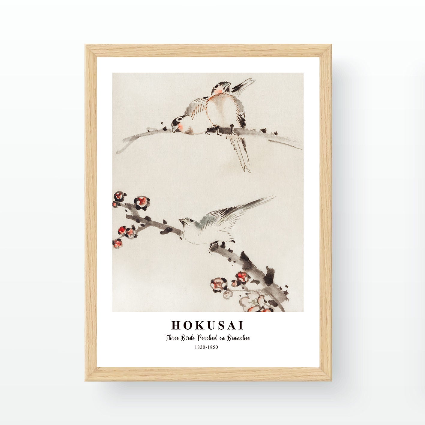 Quadro Decorativo Emoldurado Multicolor 37x47cm Premium