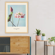 Quadro Decorativo Multicolor 35x45cm - Impressão Digital UV