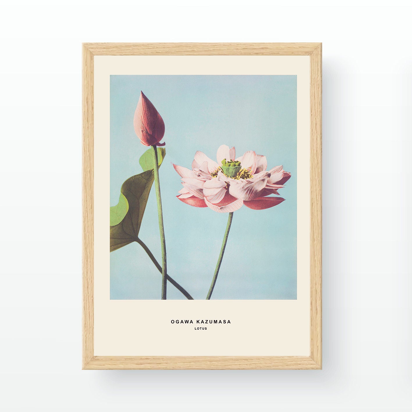 Quadro Decorativo Multicolor 35x45cm - Impressão Digital UV