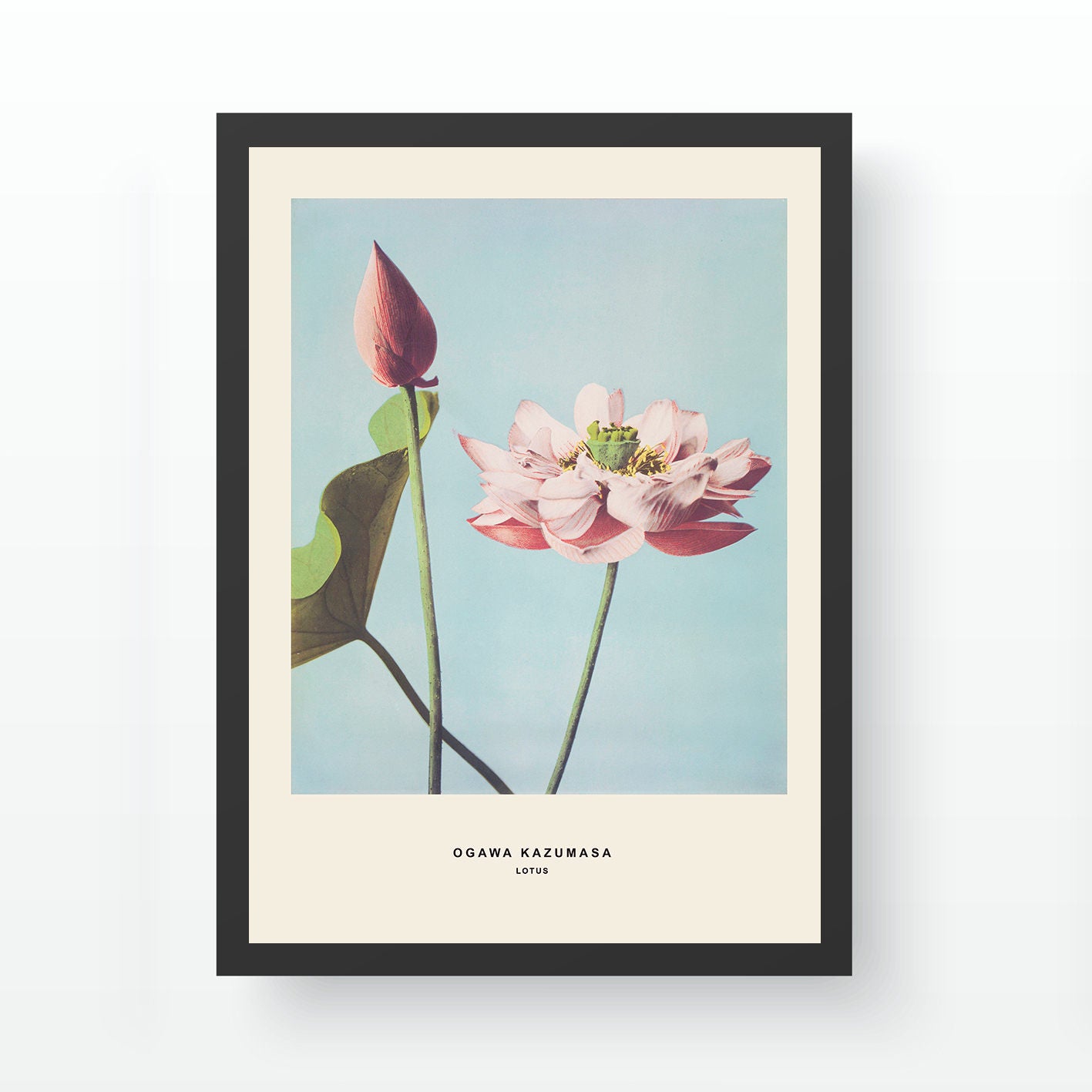 Pintura Decorativa Elegante em Moldura, 35 x 45 cm | Moldura 100% Madeira, Poliestireno de 2 cm de Espessura | Impressão Digital UV para Exibição de Arte Vibrante