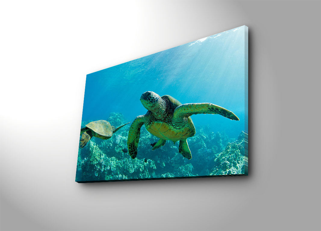 Quadro em Tela Decorativa Multicolor 45x70 cm, Tela 100% Camurça, Moldura de Madeira 3 cm – 4570HW-2 (Ref. 249CVT1371)