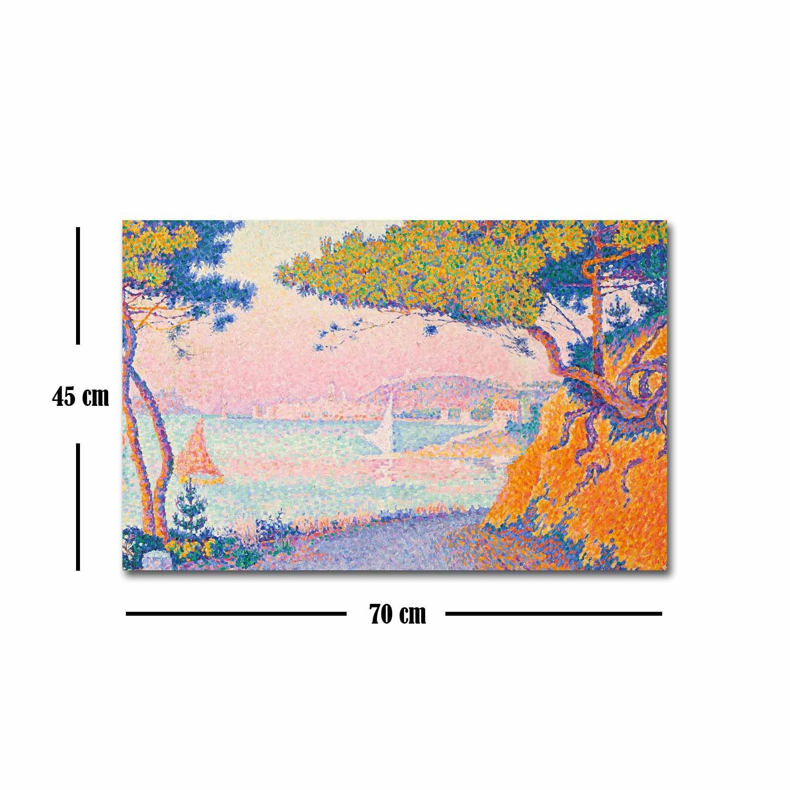 Tela Decorativa Multicolor FAMOUSART-065 | Camurça 100% | Moldura de Madeira 3 cm | 45 x 70 cm