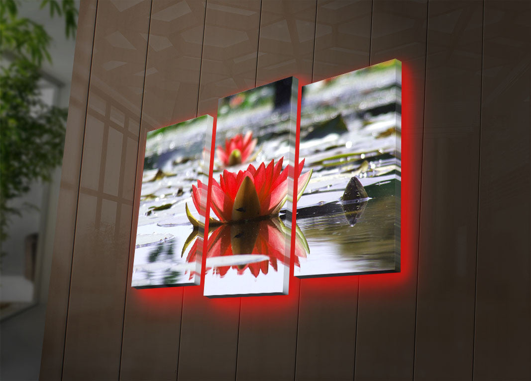 Quadro Decorativo LED Triplo Canvas - Pintura Iluminada Multicolor