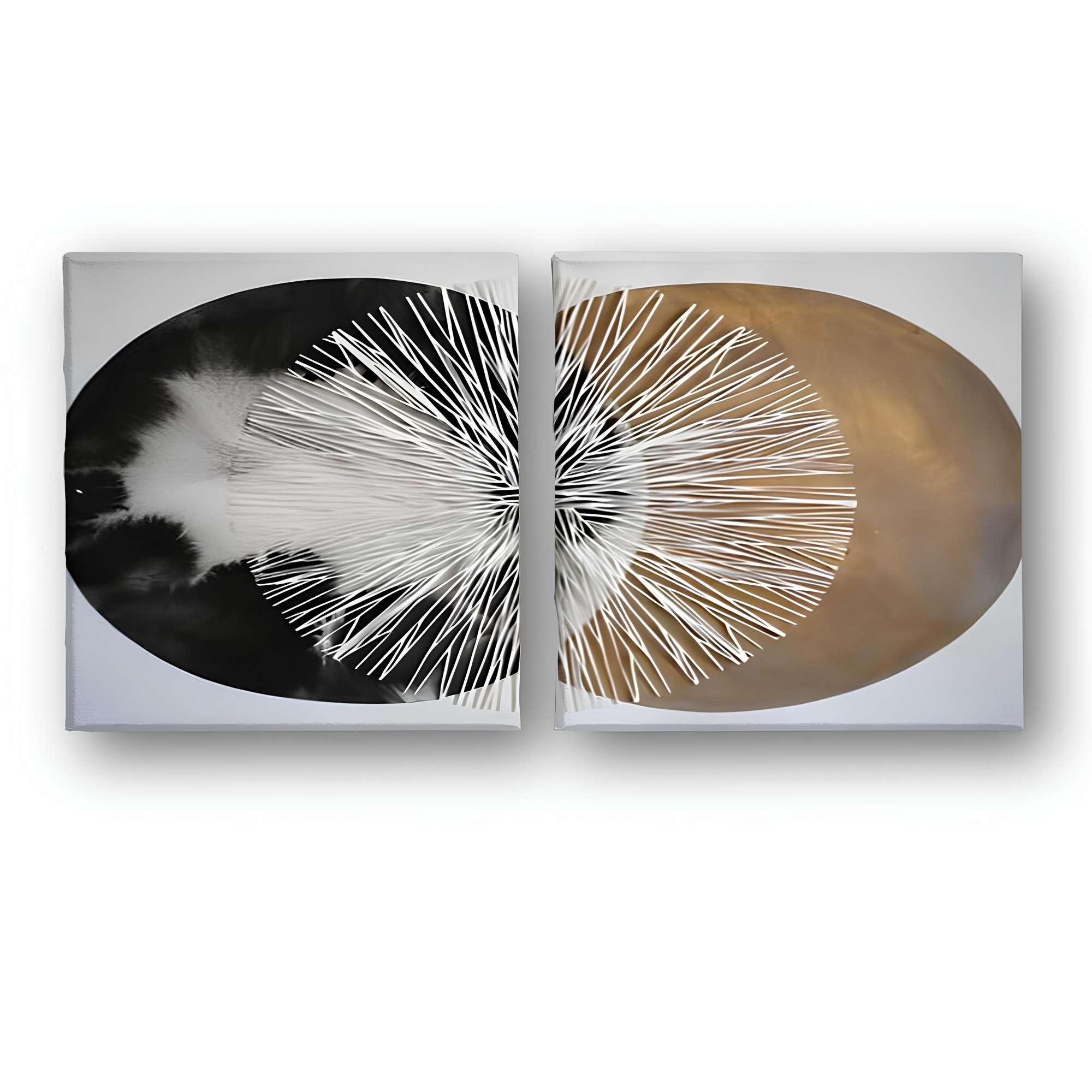 Conjunto Quadros Decorativos Canvas 30x30cm - 2 Peças Multicolor