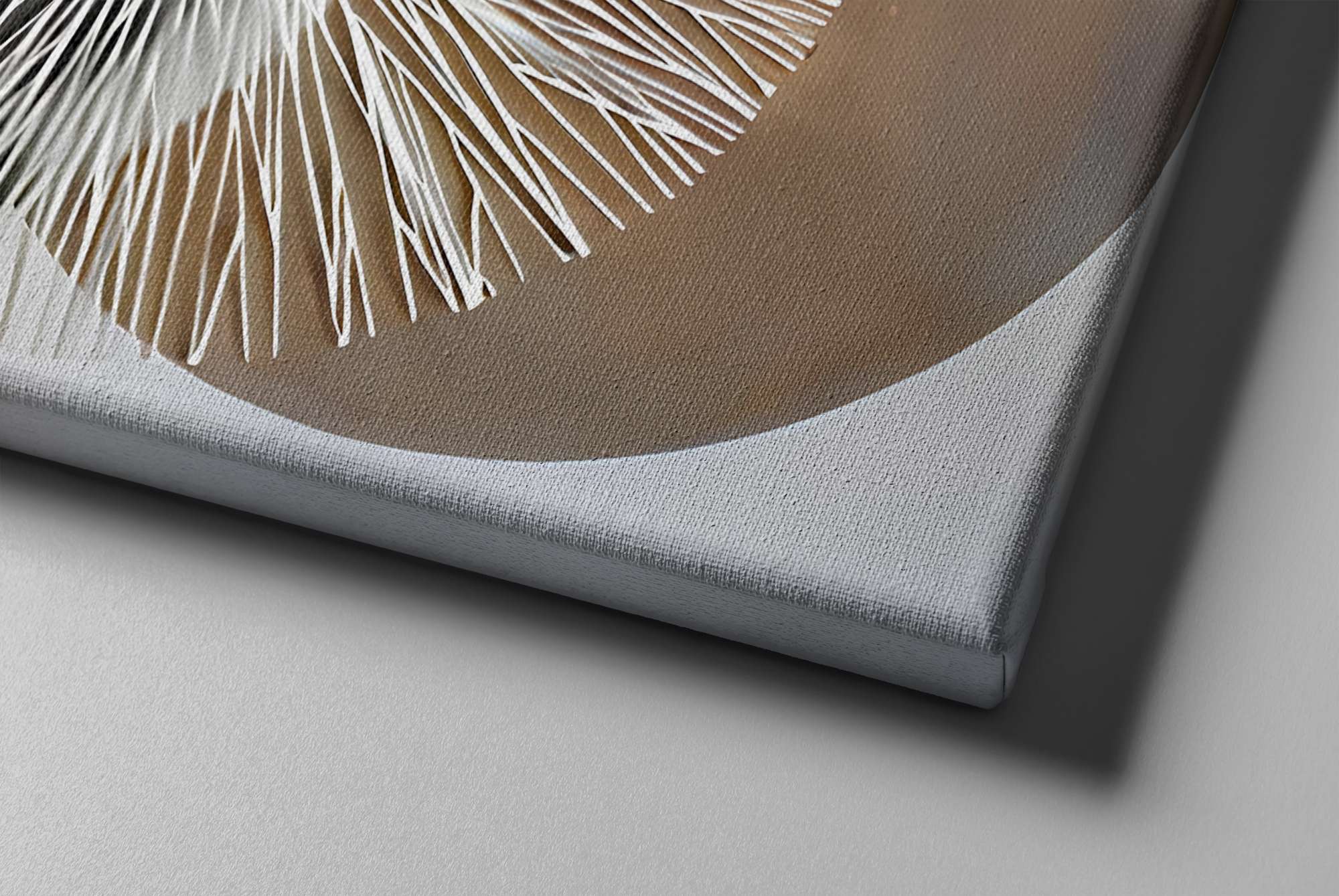 Conjunto Quadros Decorativos Canvas 30x30cm - 2 Peças Multicolor