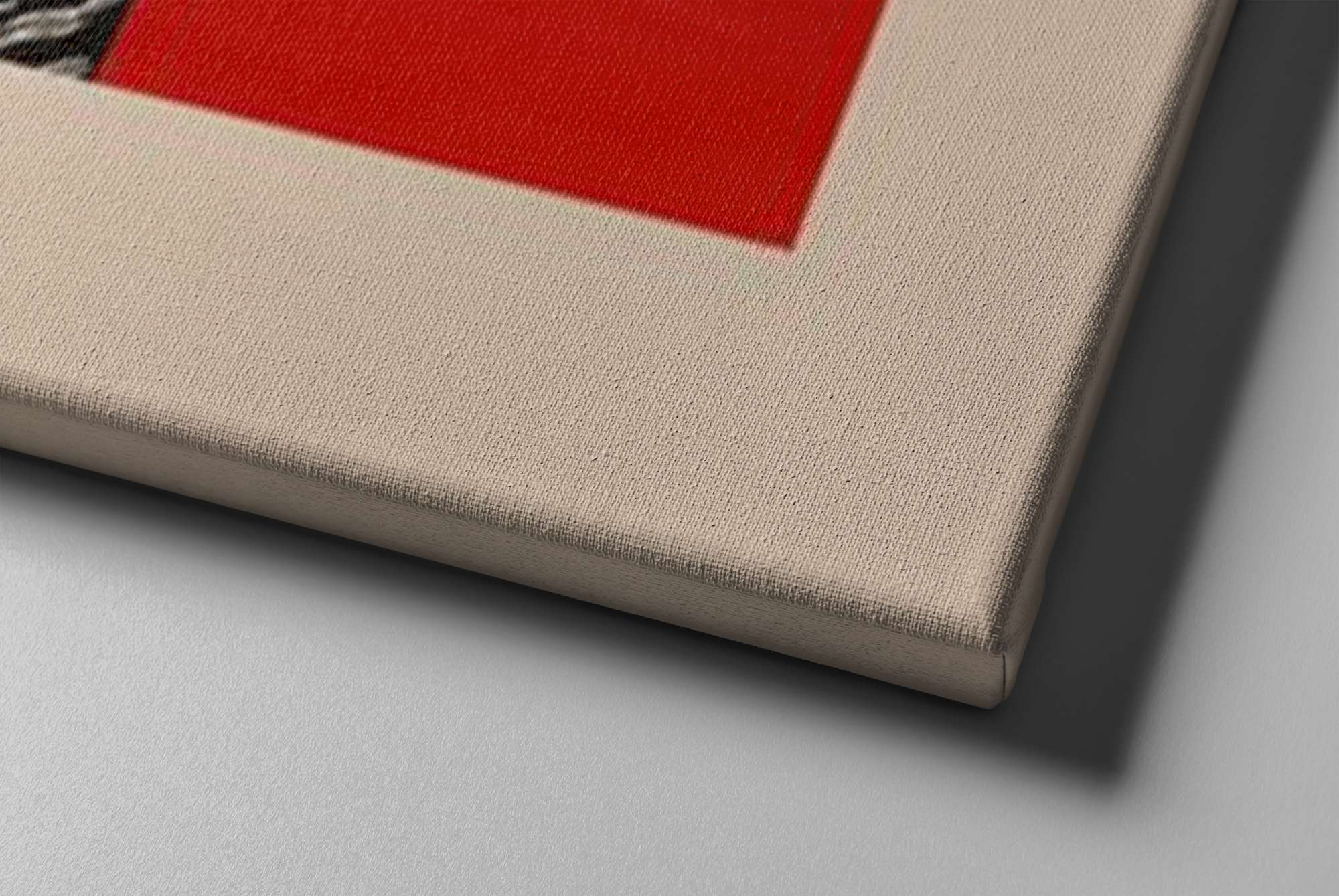 Quadros Decorativos Canvas 30x30 - Set 2 Peças Multicolor