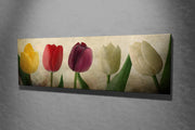 Impressionante pintura decorativa em tela, 30 x 80 cm | 100% tela, moldura 100% madeira (3 cm de espessura) | Perfeito para decoração e amantes da arte, design exclusivo