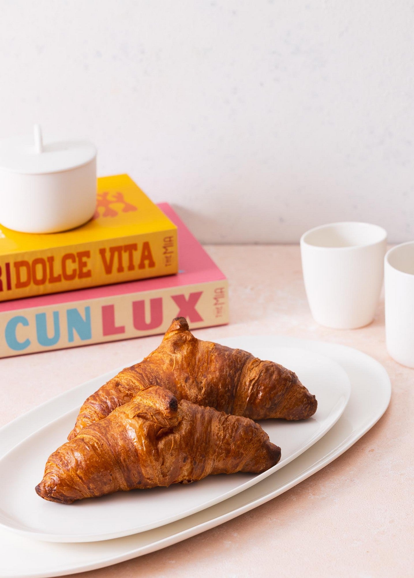 Prato de Porcelana – 17 x 34 x 1 cm – Terracota