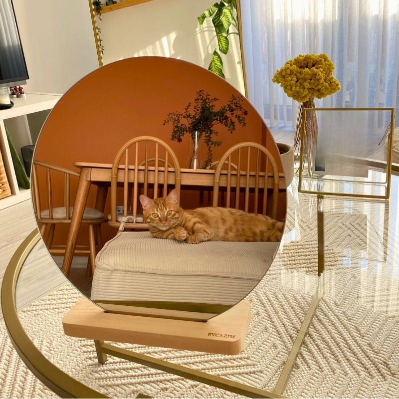 Espelho de Maquilhagem – 32 x 30 x 7 cm – Transparente e Marrom – Vidro e Madeira