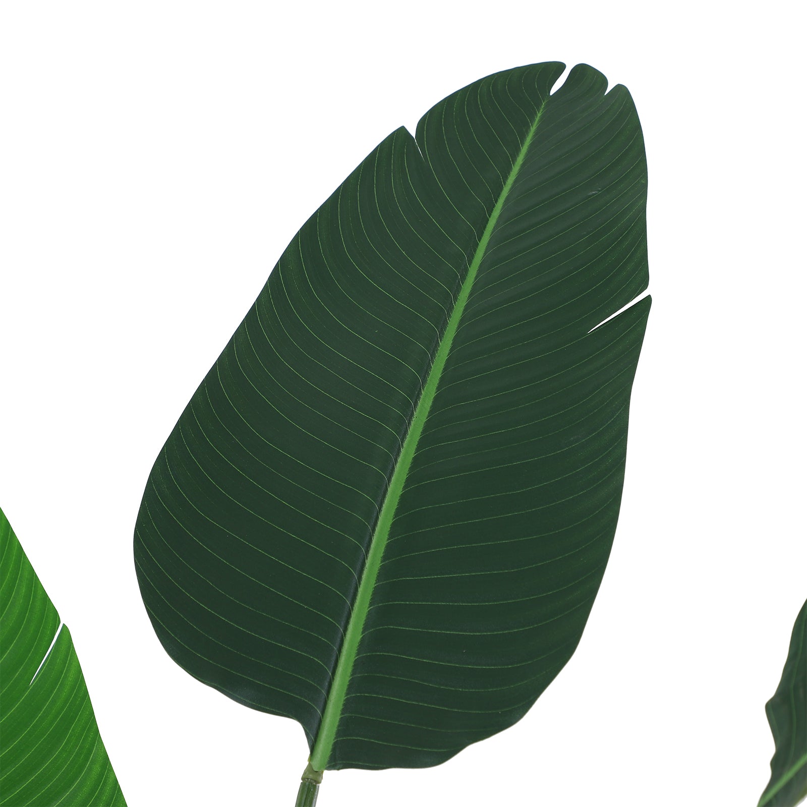 Planta Artificial Palmeira Verde Ø18x180cm - Decoração Interior e Exterior
