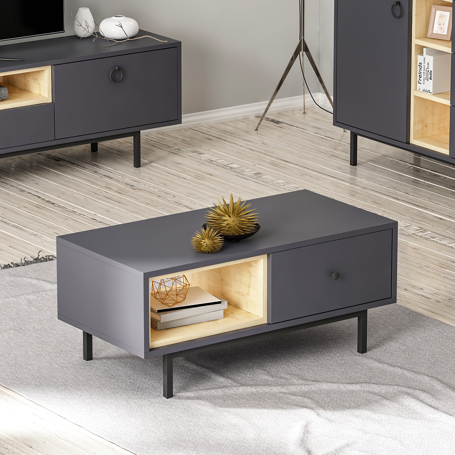 Mesa de Centro-Naturel-Antracite